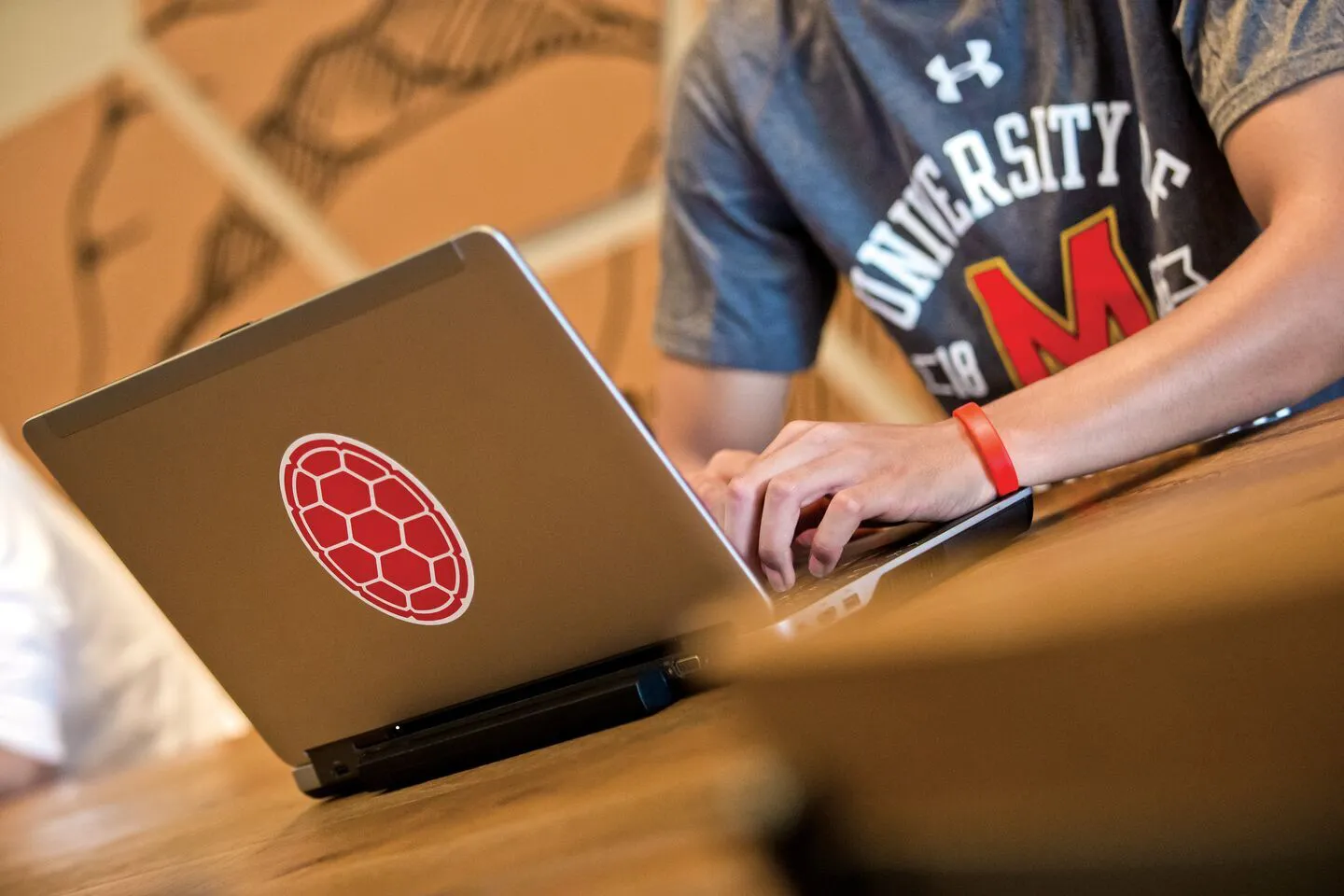 student typing on laptop with Terp sticker