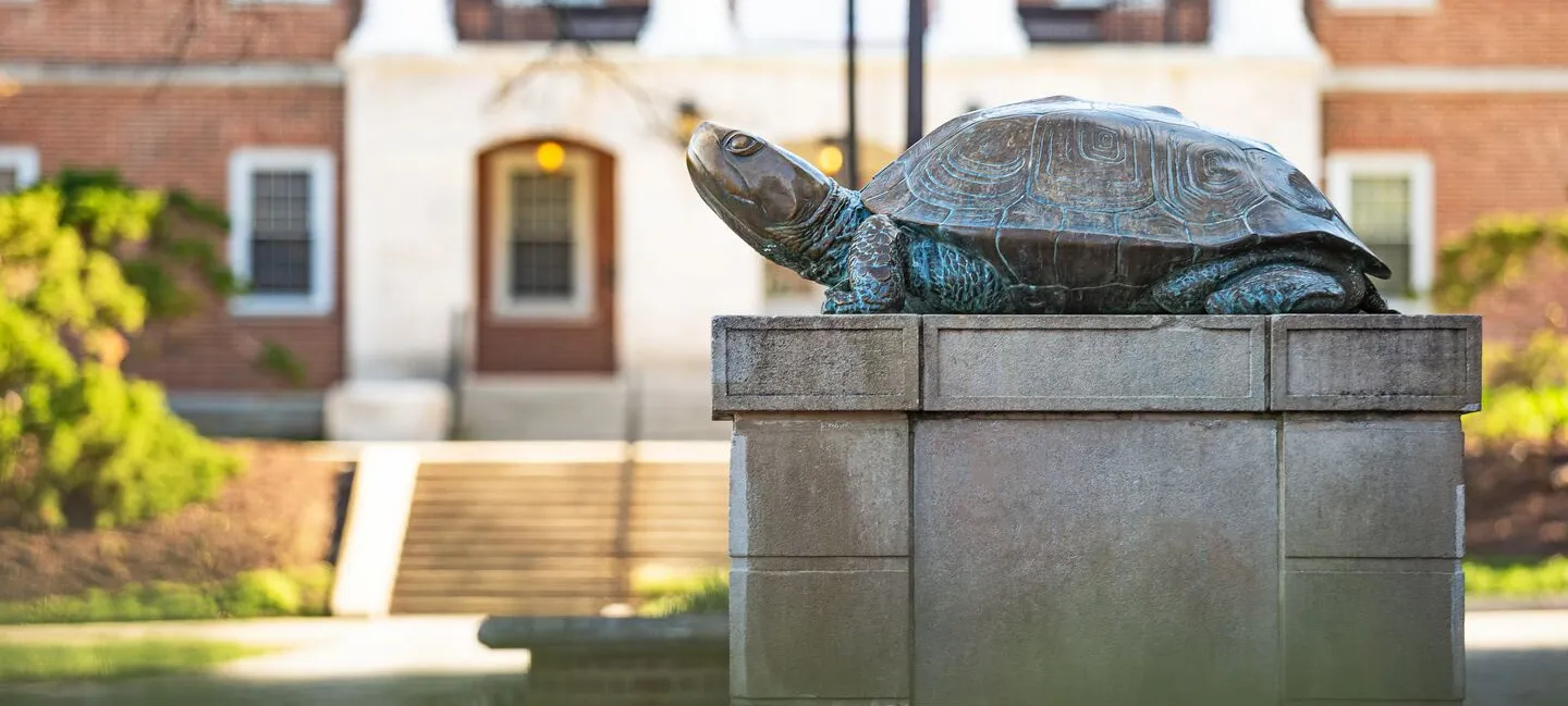 Testudo status