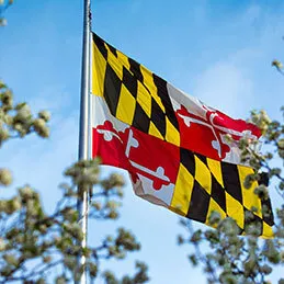 state of Maryland Flag