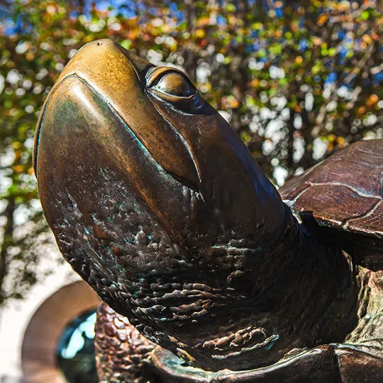 Testudo statue