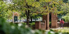outdoor shot of campus in fall