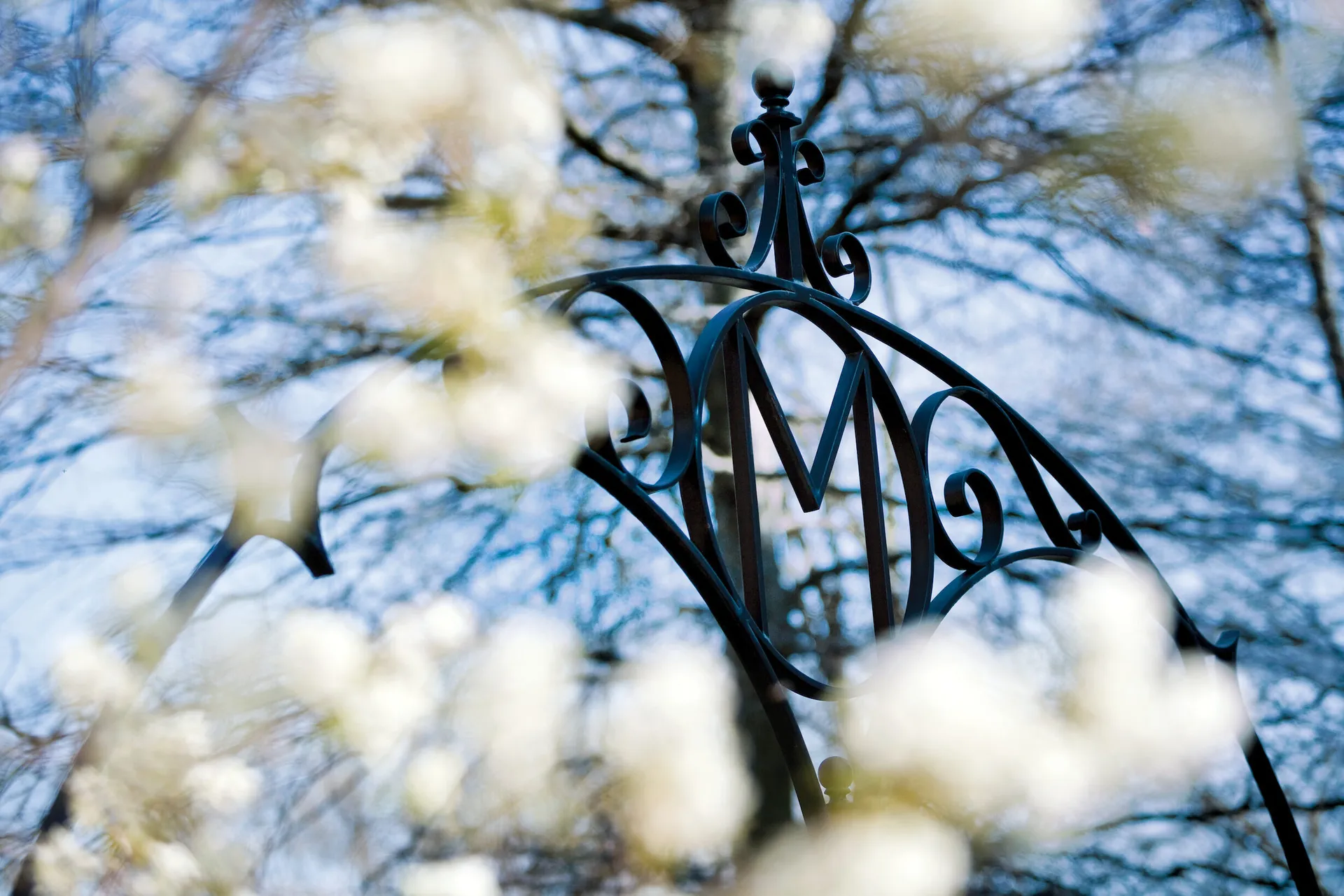 M Gate surrounded by blossoms